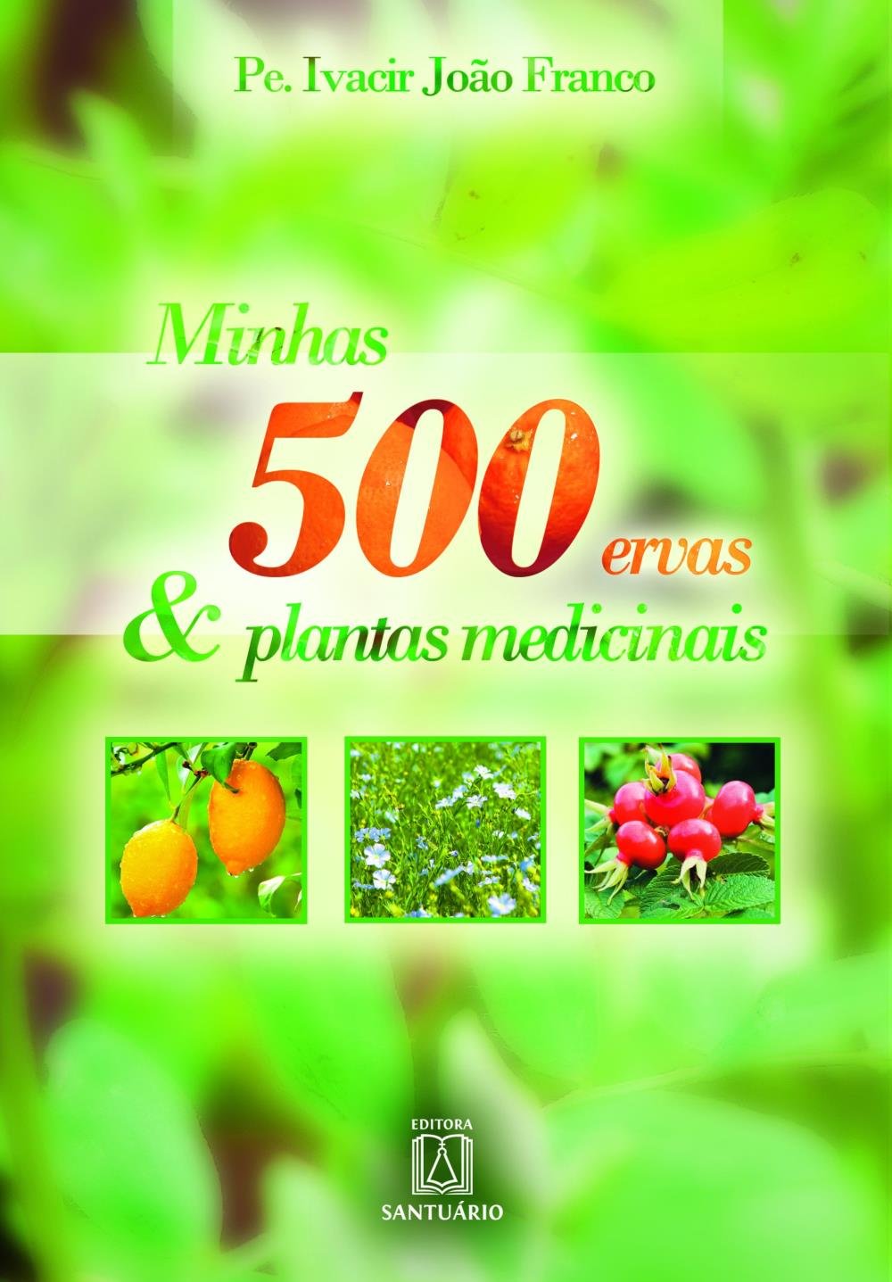 Featured image of post Imagens De Plantas Medicinais / Em algumas comunidades, essas plantas simbolizam a única forma de tratamento de determinadas patologias.