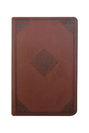 Bíblia do Pescador - Capa Marrom - Borda Dourada - Nvi Menor preço em Bíblia do Pescador - Capa Marrom - Borda Dourada - Nvi