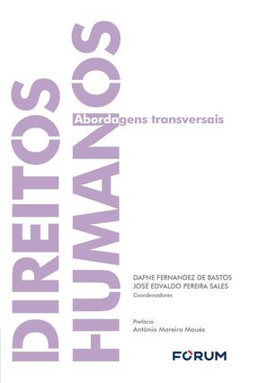 Direitos Humanos - Abordagens Transversais - Sales,José Edvaldo Pereira Bastos,Dafne Fernandez De | 