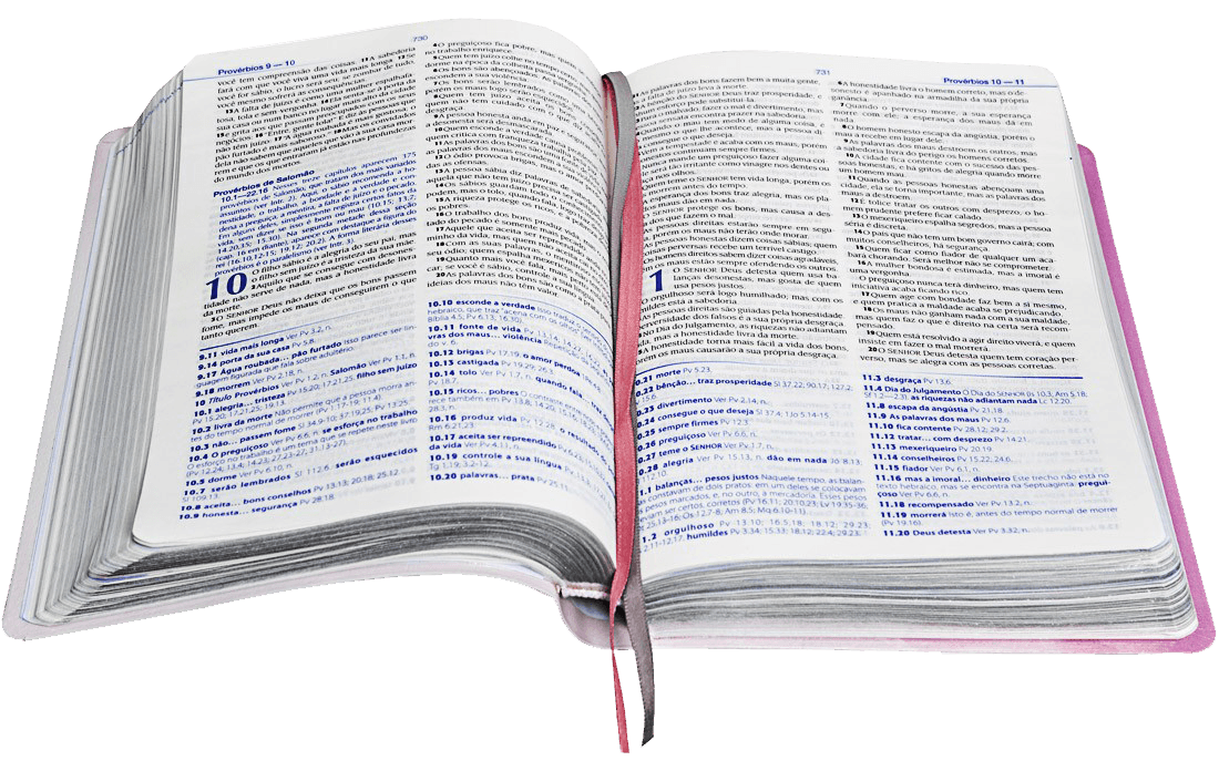 Bíblia sagrada nova tradução na linguagem de hoje onde comprar Biblia De Estudo Ntlh Nova Traducao Na Linguagem De Hoje Capa Arte Saraiva