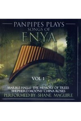 panpipes plays songs of enya album art