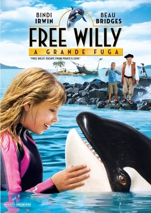dvd free willy
