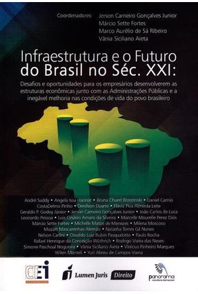 Infraestrutura e o Futuro do Brasil No Século XXI - Gonçalves Junior,Jerson Carneiro | 
