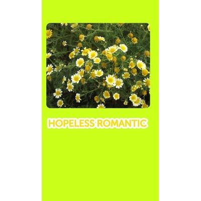 Hopeless Romantic (Only Because Of You)