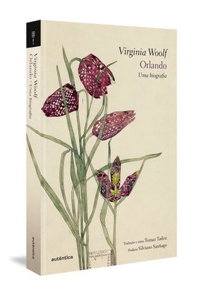 Orlando - Uma Biografia - Woolf,Virginia | 